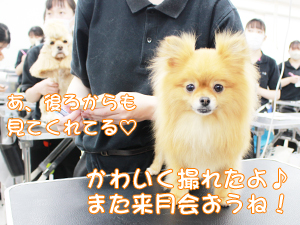 ☆カメラ目線特集☆